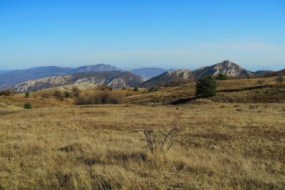 Прикрепленное изображение: IMG_1361+.jpg